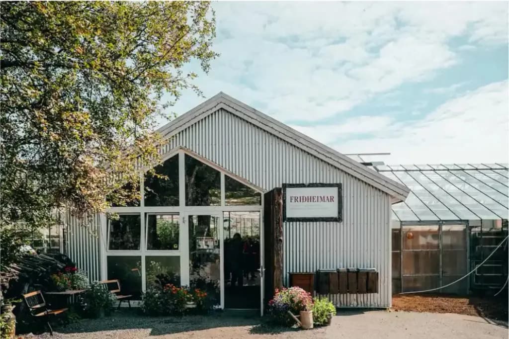 Friðheimar Tomato Farm